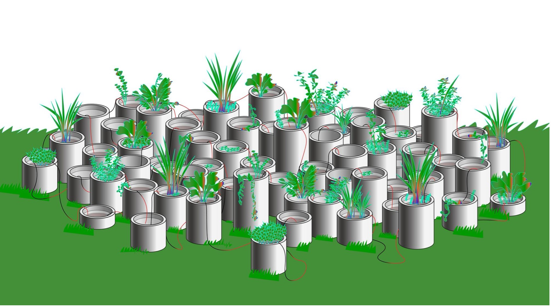 Verschillende buizen met planten, waar elektroden tussen lopen die de vrijgekomen elektronen van bacteriën in het water oogsten. Schematisch weergegeven. Ontwerp Sunjoo Lee.